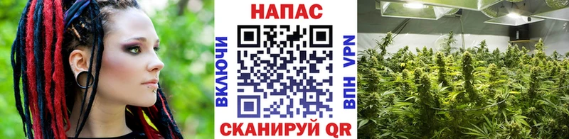 Купить закладку Калининград COCAIN Гашиш