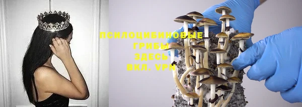 индика Кодинск