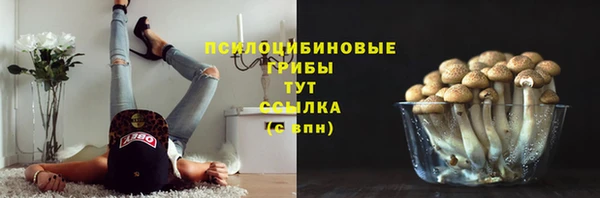 индика Киреевск