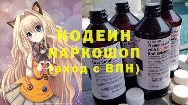 молекула духа Костерёво