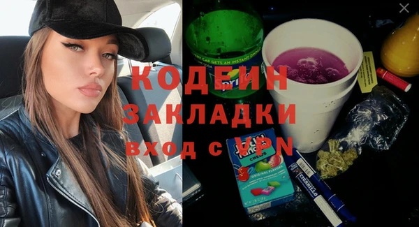индика Корсаков