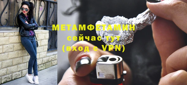 ГАЛЛЮЦИНОГЕННЫЕ ГРИБЫ Козловка