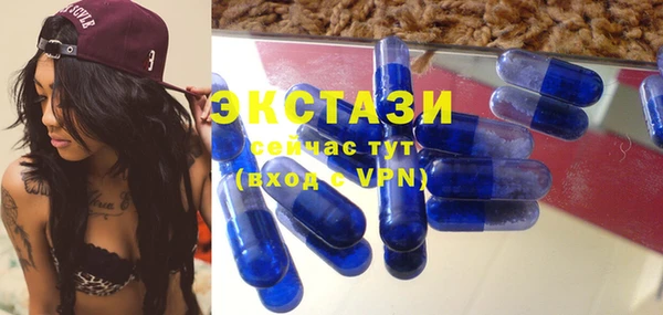 ГАЛЛЮЦИНОГЕННЫЕ ГРИБЫ Козловка