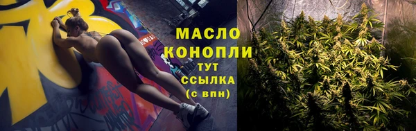 индика Киренск
