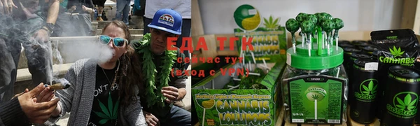 индика Кодинск
