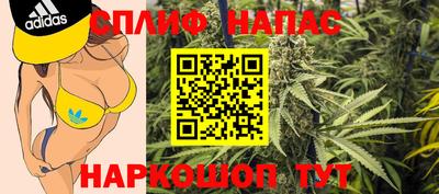 ешки Гагарин