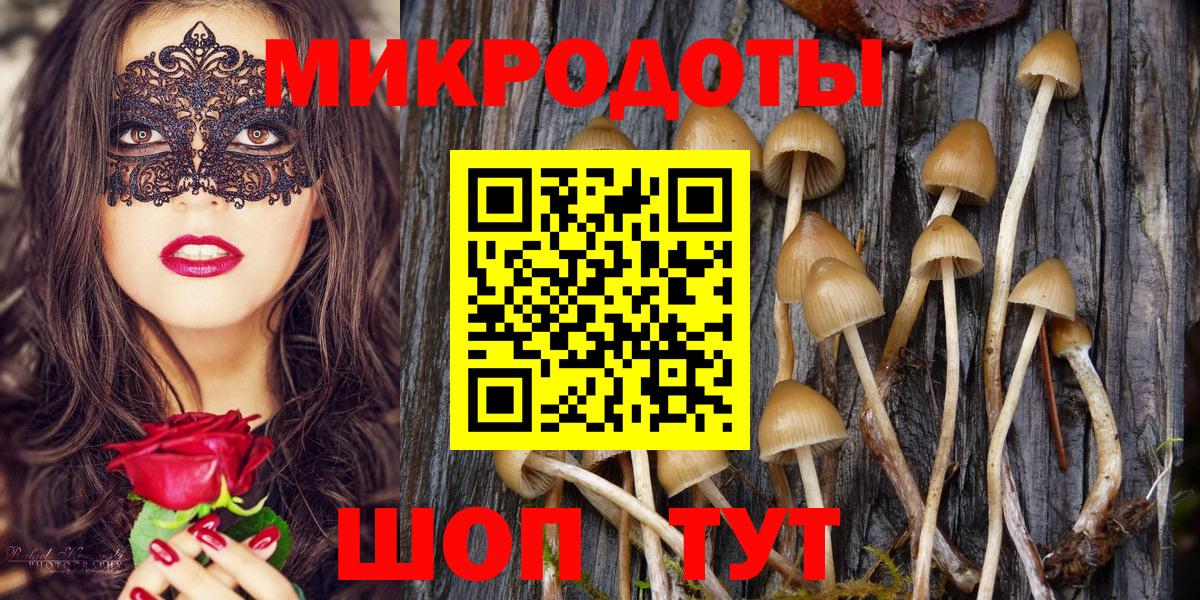 Псилоцибиновые грибы Cubensis  Вход с VPN  Калининград 