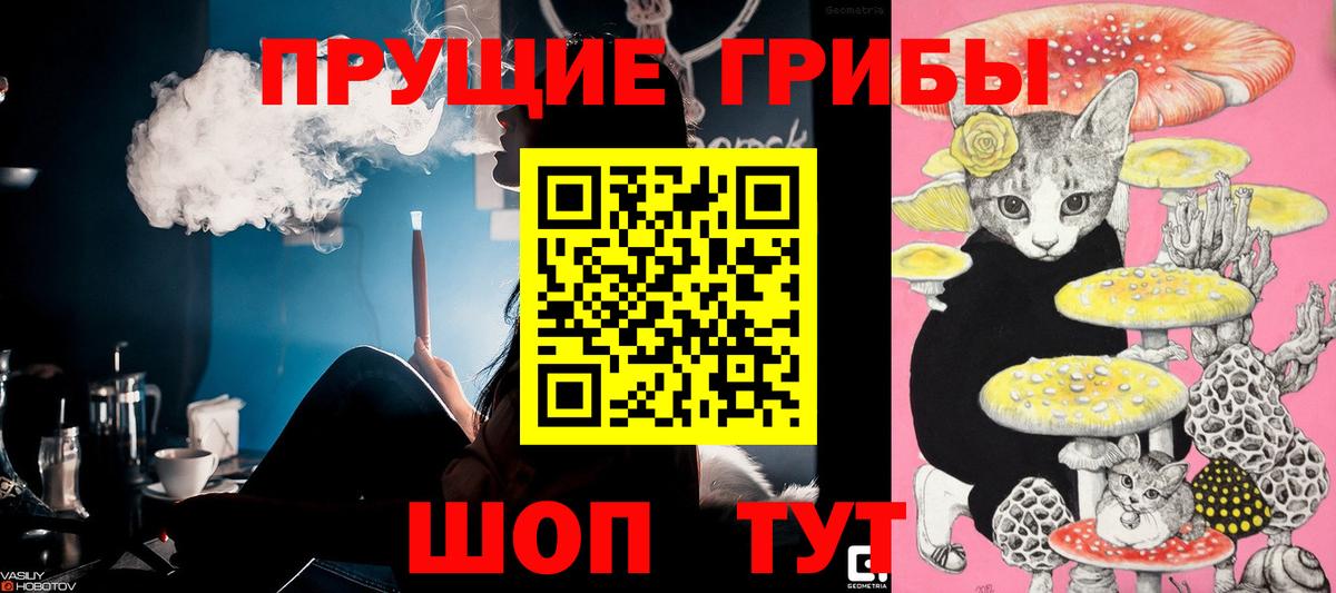 Псилоцибиновые грибы мухоморы Калининград