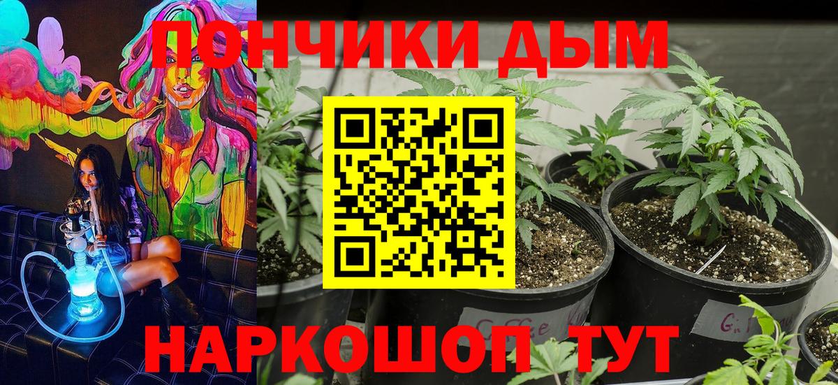 Бошки Шишки SATIVA & INDICA  Калининград  Шишки марихуана THC 21%  Канабис THC 21%  Бошки Шишки конопля 